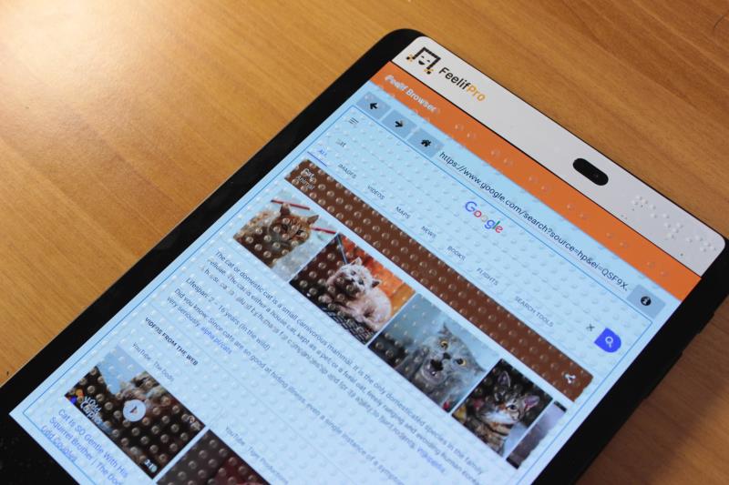 Feelif Browser on Feelif Pro device